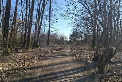 Teren de 2000 mp, în Petrești