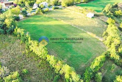 TEREN intravilan  3511 mp - BĂLȚĂTEȘTI - 6