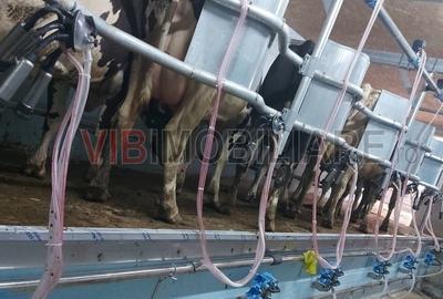 Ferma zootehnică funcțională, populată cu peste 200 capete bovine, aproape d - 16