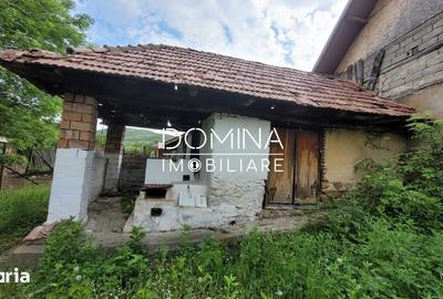 Casă cu 3 camere cu Teren 7962 Mp în Runcu - 4