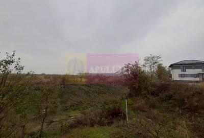 Teren agricol extravilan de 5000 mp, în Corbeanca - 17