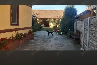 Casă cu Teren 2000 Mp în Hitiaș - 5