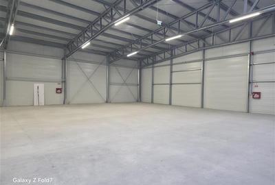 Spațiu industrial, de 6,000 mp, în Mogoșoaia - 48