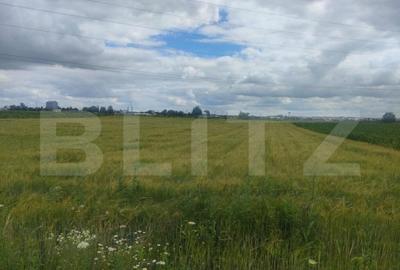 Teren extravilan, 6600 mp, Radauti - 7