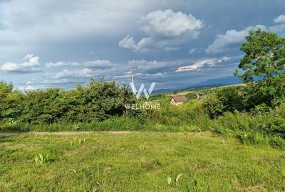 Teren agricol intravilan de 1000 mp, în Daia