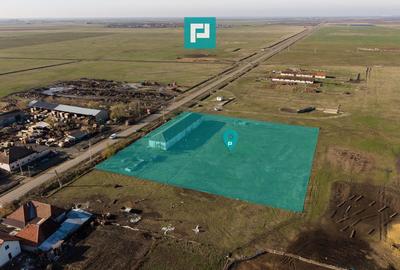 Hală industrială cu teren generos în Zărand, Arad - 2