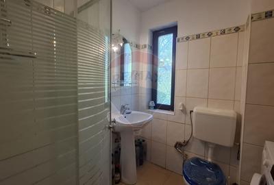 Casa de vacanta in Magura, la poalele Muntilor Piatra Craiului - 10