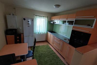 Apartament cu 2 camere semidecomandat, mobilat în Bucovina - 11