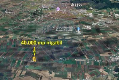 Teren agricol extravilan de 40000 mp, în Nord-Est - 2