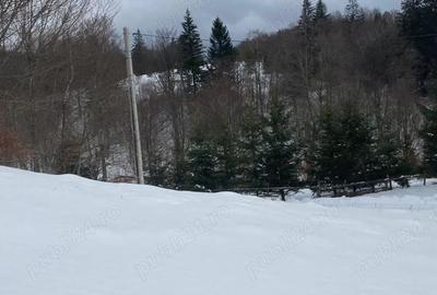 Teren de 800 mp, în Cheia