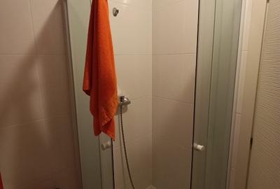 Apartament cu 3 camere semidecomandat în Theodor Pallady - 8
