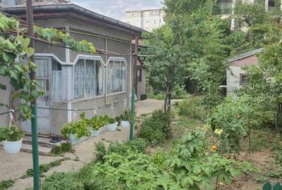 Teren intravilan de 343 mp, în Andronache - 5