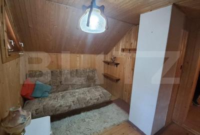 Cabana in colibita - 4