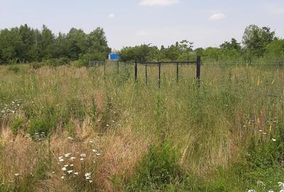 Teren 500 mp, Domnesti, str. Salciei - 3