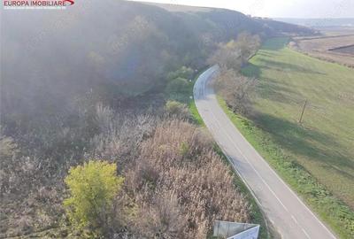 Teren de vanzare in Delta Dunarii loc. Nufaru - 3