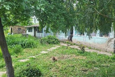 Casă cu 2 camere cu Teren 2635 Mp în Dragalina - 5