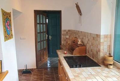 Casă cu 5 camere cu Teren 3900 Mp în Șuncuiuș