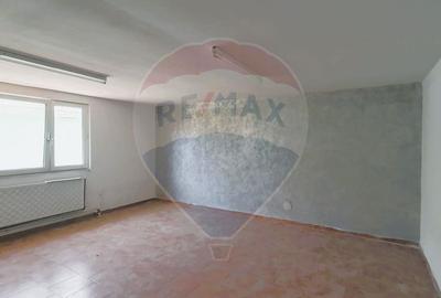 Spatii comerciale si teren 885 mp, central, Sambateni - 9