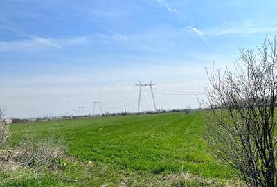 De vanzare lot teren intravilan Dumitrana Magurele - 8