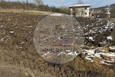 Teren Construcții intravilan de 1510 mp, în Sânmărtin - 2