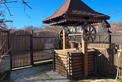 Vand casa la tara in zona linistita - 4