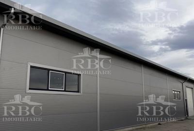 Hala din panouri 864 mp cu platforma betonata B-dul Muncii - 6