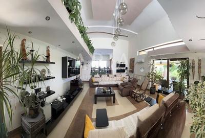 Vila individuala Erou Iancu Nicolae Vila individuala Erou Iancu Nicolae - 8