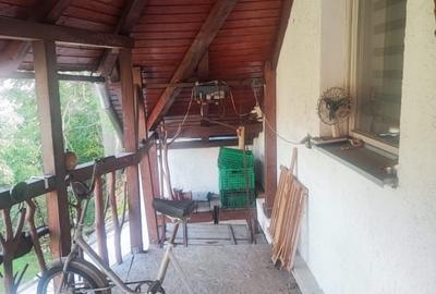 Popietate deosebită  de vinzare în centrul orașului Sebes - 4