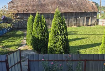 Casă cu 3 camere în Crăiești - 6