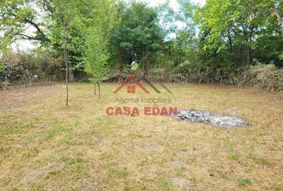 Casă cu Teren 2093 Mp în Bănești - 3