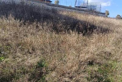 Teren 1000 mp intravilan, Zona Tarpiului - 1