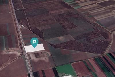 Teren de 48300 mp, în Glina - 3