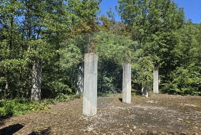 Teren 4,000mp Pascoaia / Soseaua Punctul Chiliilor - 4