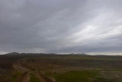 Teren extravilan cota parte 3/24, Nalbant ; ID: R2827364 - 6