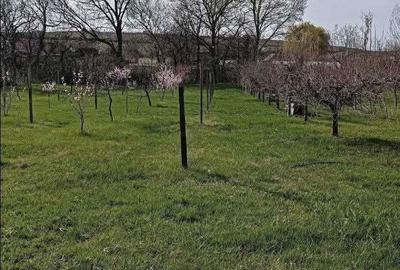 Casă cu 4 camere în Măderat - 1