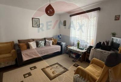 Casă cu 2 camere cu Teren 3669 Mp în Giurgița - 6