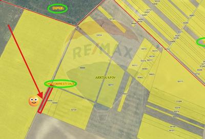 Teren agricol extravilan de 2500 mp, în Dragomirești-Vale - 3