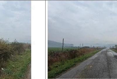 Teren extravilan Bacesti, ID: R2822108 - 5