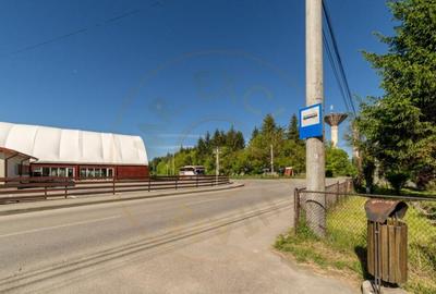 Inchiriere spatiu de depozitare 247 mp, curte 158 mp, Campul - 16