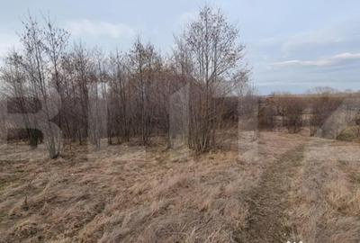 Teren de 6133 mp, în Central - 4