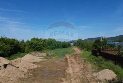 Teren de 11533 mp, în Merișor - 5