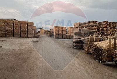 Spațiu industrial, de 7,756 mp, în Cerăt - 30