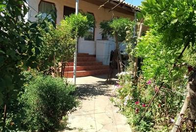 Vind casa la tara - 10