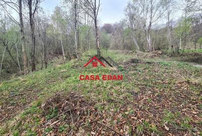 Teren de 1000 mp, în Teșila - 2