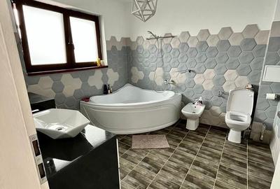 Sanandrei – Duplex  2  Camere – Pod  Mansardabil - 9