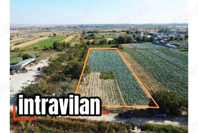 Comision cumparator 0% , Teren intravilan 5400 mp. - 4