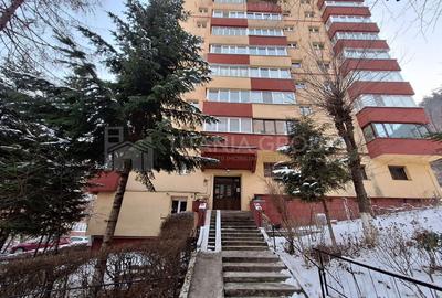 Apartament cu 4 camere decomandat, mobilat în Răcădău - 11