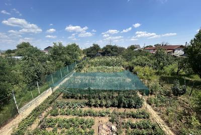 VAND O VILA IN PADUREA DIN FILIPESTI - 15