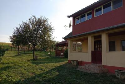 Teren 11.600 mp intravilan, cu casa si utilitati pe proprietate - Campenesti - 1