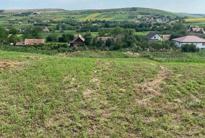 Casă cu 2 camere în Boian - 1